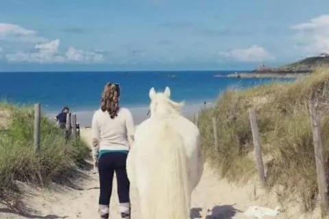 Tente de luxe bulle d'amour à 500 m de la plage Cancale